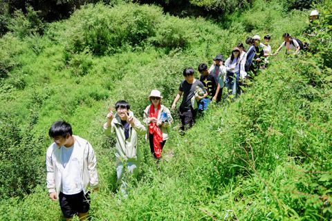 Field transect through the mountain vegetation