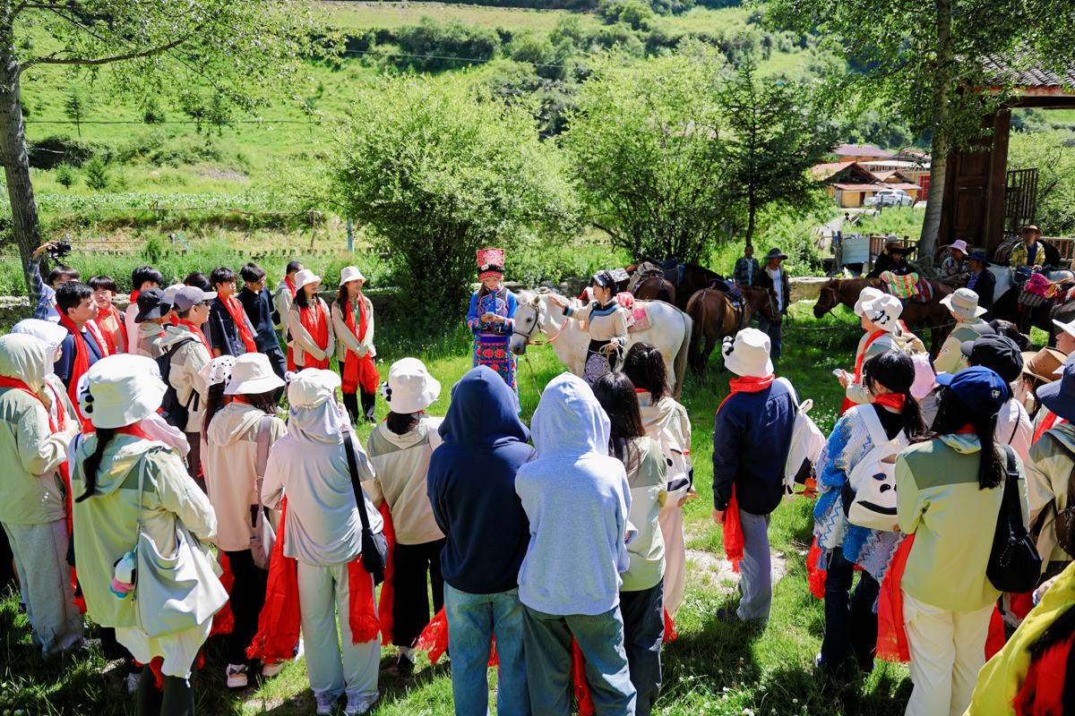 Students learning about highland horse culture in a mountain meadow