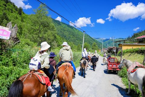 Horseback patrol along the alpine valley